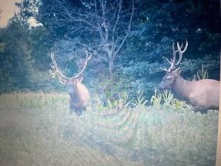 TBD N 12/27 Highway Black River Falls WI 54615 1596056 image19