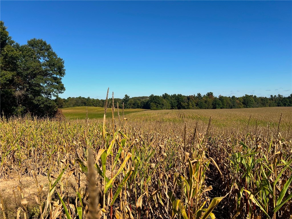 TBD N 12/27 Highway Black River Falls WI 54615 1596056 image2