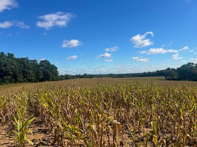 TBD N 12/27 Highway Black River Falls WI 54615 1596056 image20