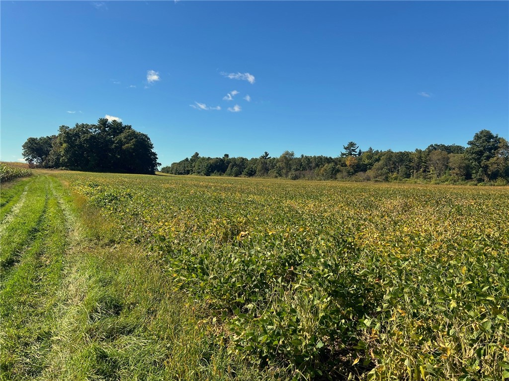 TBD N 12/27 Highway Black River Falls WI 54615 1596056 image23