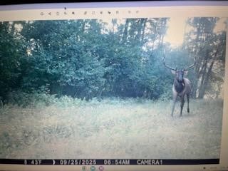 TBD N 12/27 Highway Black River Falls WI 54615 1596056 image24