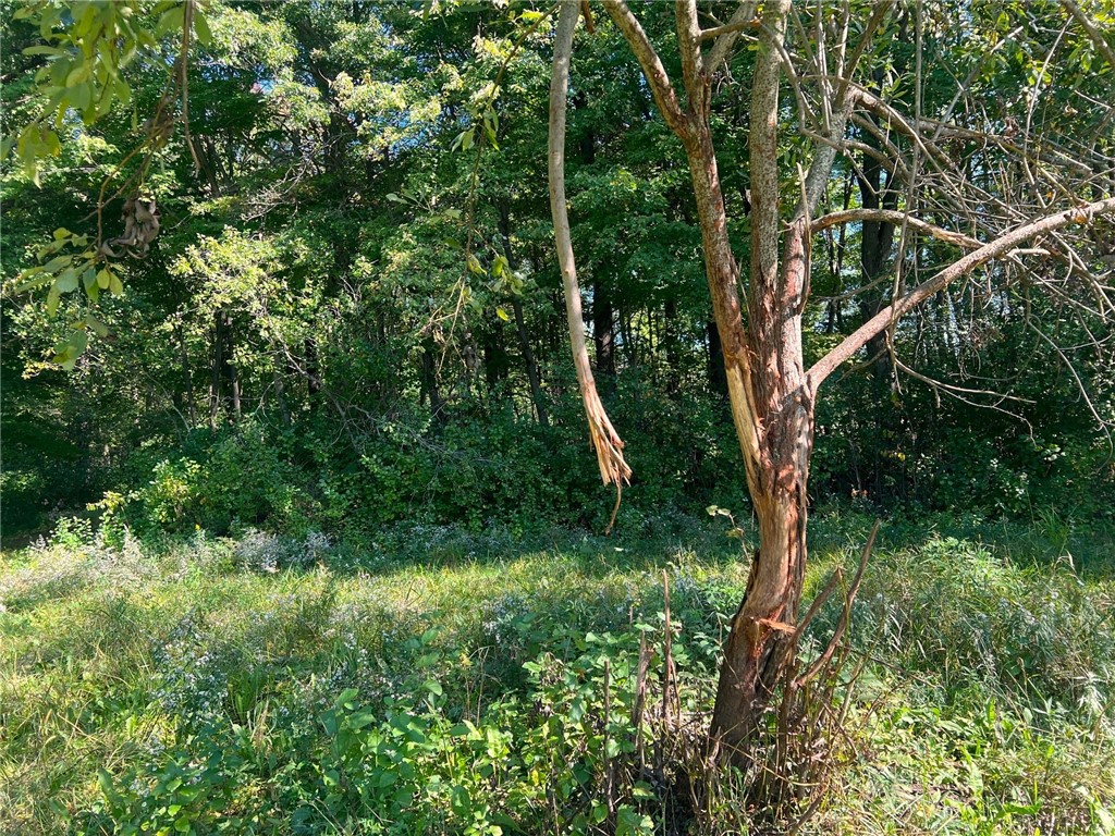 TBD N 12/27 Highway Black River Falls WI 54615 1596056 image25