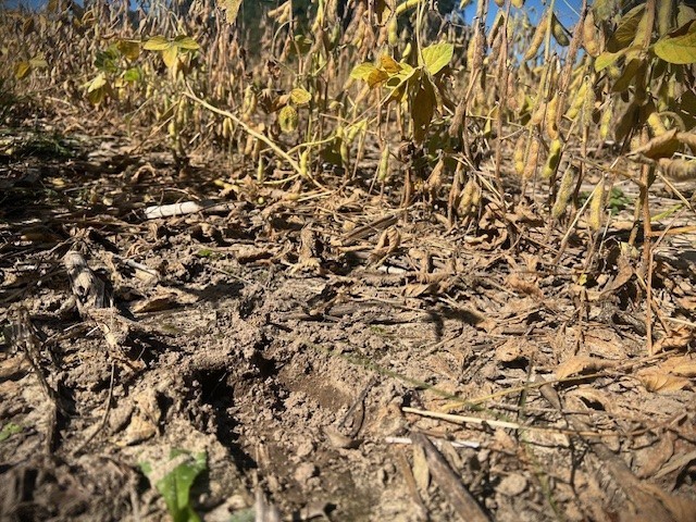 TBD N 12/27 Highway Black River Falls WI 54615 1596056 image27