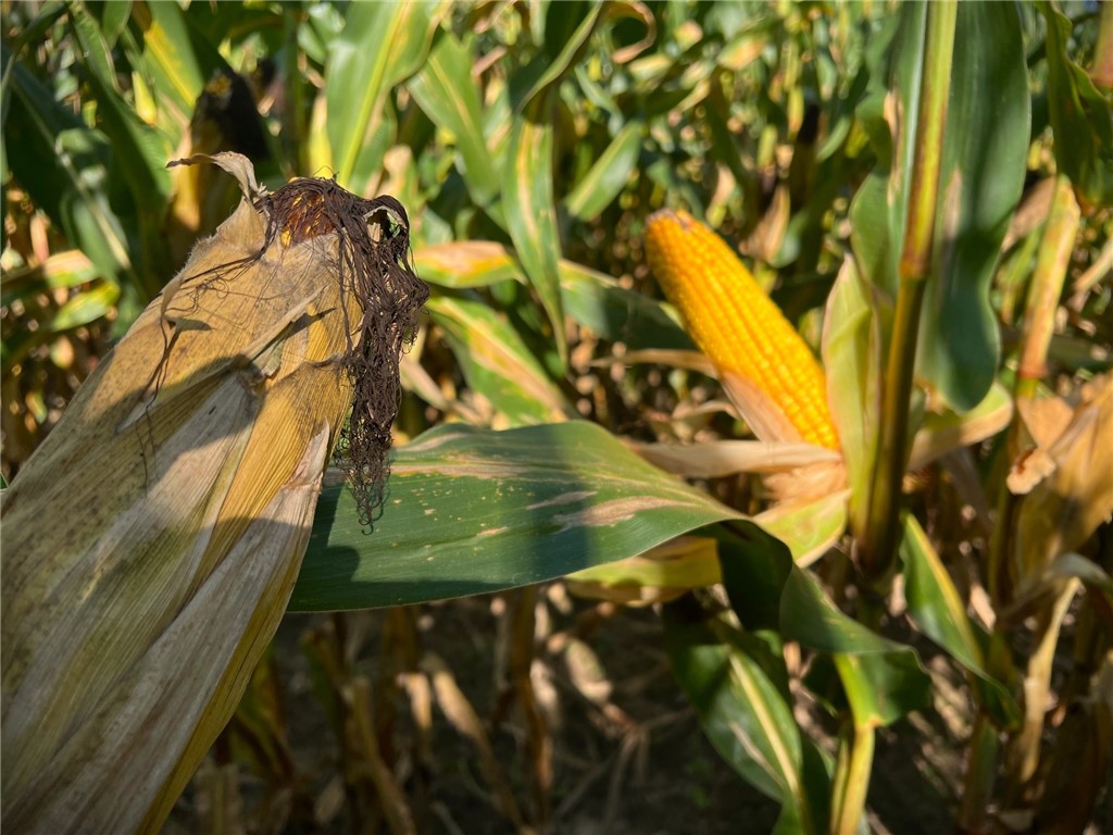 TBD N 12/27 Highway Black River Falls WI 54615 1596056 image28