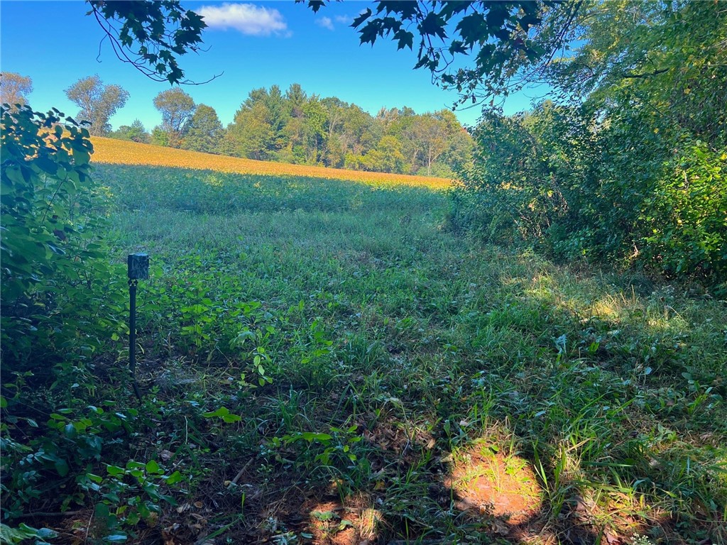 TBD N 12/27 Highway Black River Falls WI 54615 1596056 image29