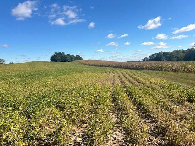 TBD N 12/27 Highway Black River Falls WI 54615 1596056 image3