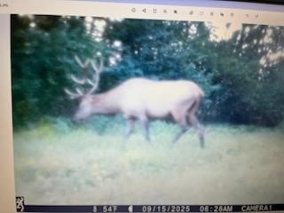 TBD N 12/27 Highway Black River Falls WI 54615 1596056 image30