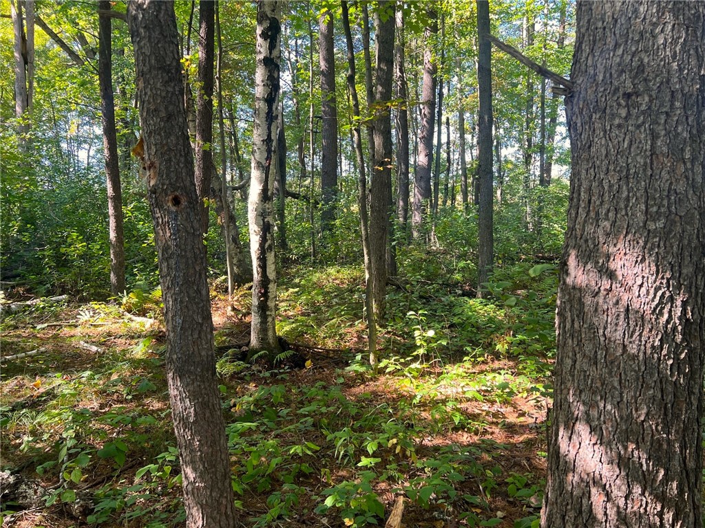 TBD N 12/27 Highway Black River Falls WI 54615 1596056 image33