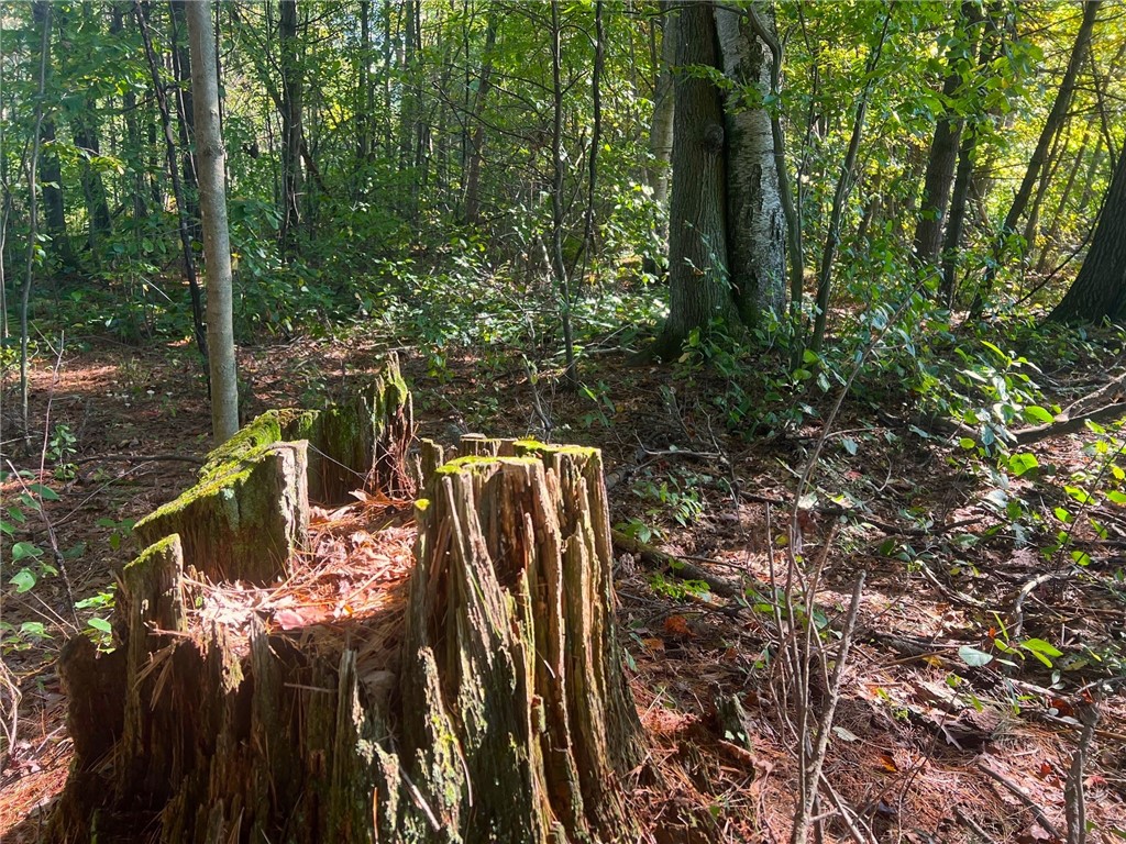 TBD N 12/27 Highway Black River Falls WI 54615 1596056 image36