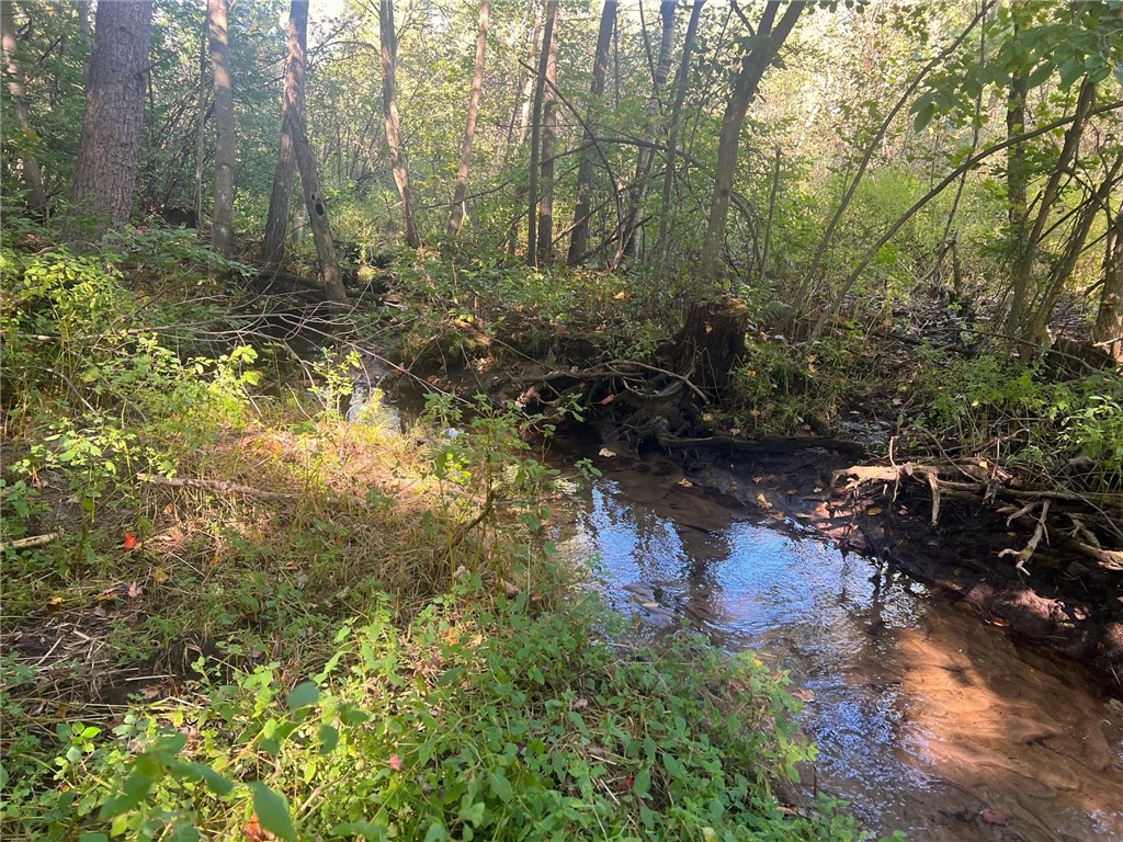 TBD N 12/27 Highway Black River Falls WI 54615 1596056 image38