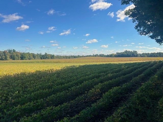 TBD N 12/27 Highway Black River Falls WI 54615 1596056 image4