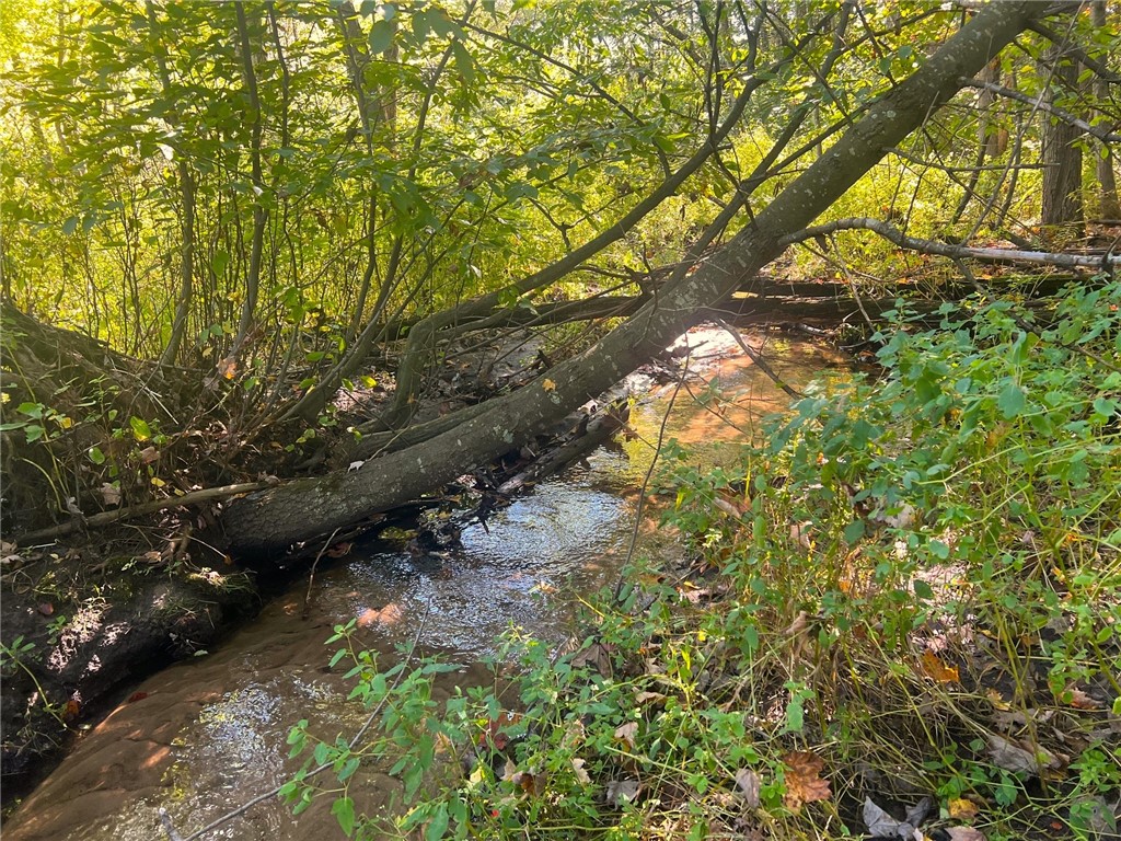 TBD N 12/27 Highway Black River Falls WI 54615 1596056 image41