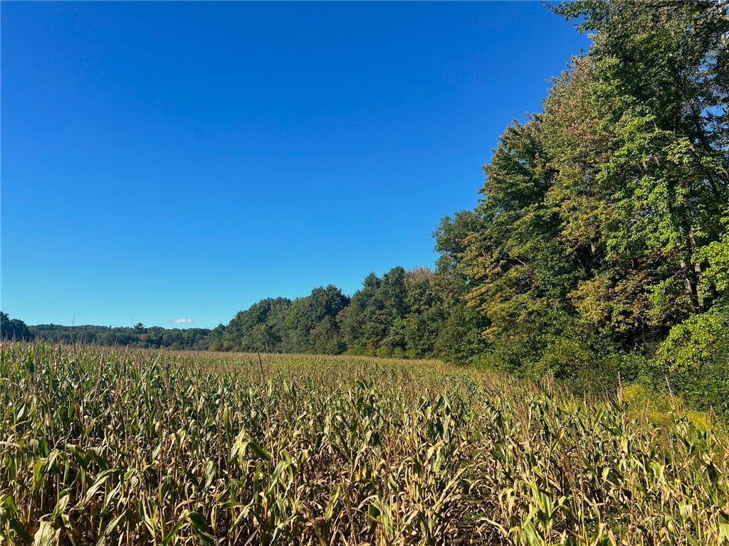 TBD N 12/27 Highway Black River Falls WI 54615 1596056 image45