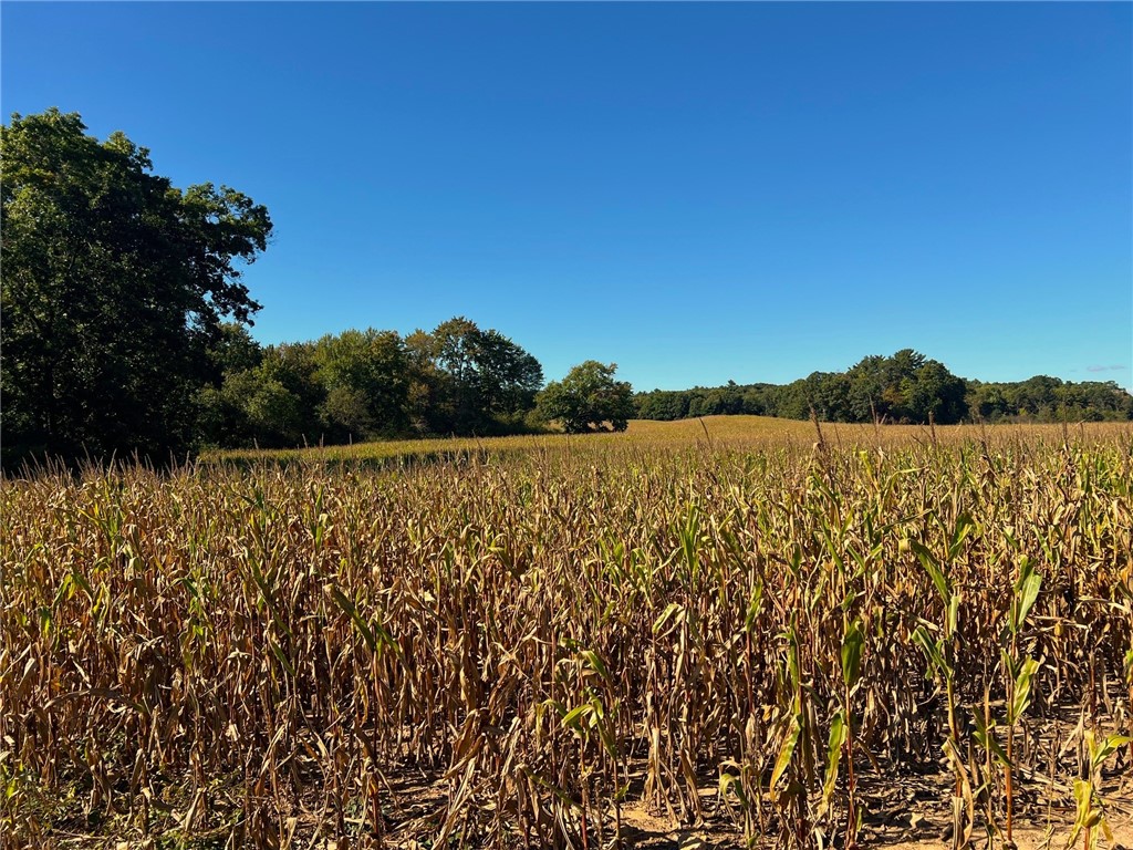 TBD N 12/27 Highway Black River Falls WI 54615 1596056 image47