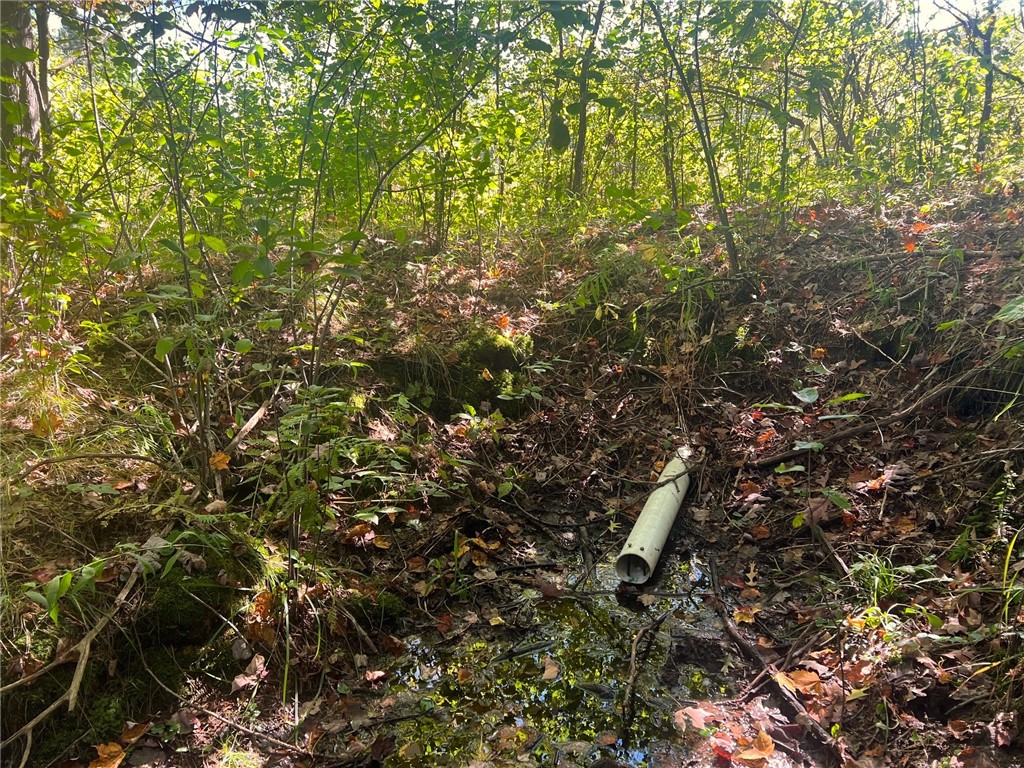 TBD N 12/27 Highway Black River Falls WI 54615 1596056 image49