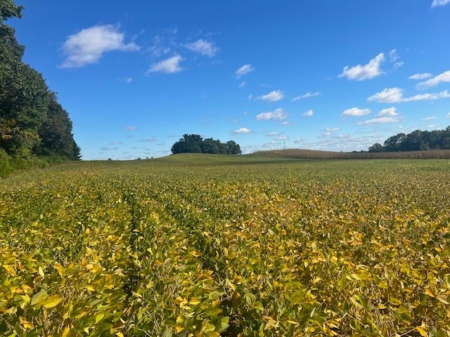 TBD N 12/27 Highway Black River Falls WI 54615 1596056 image5