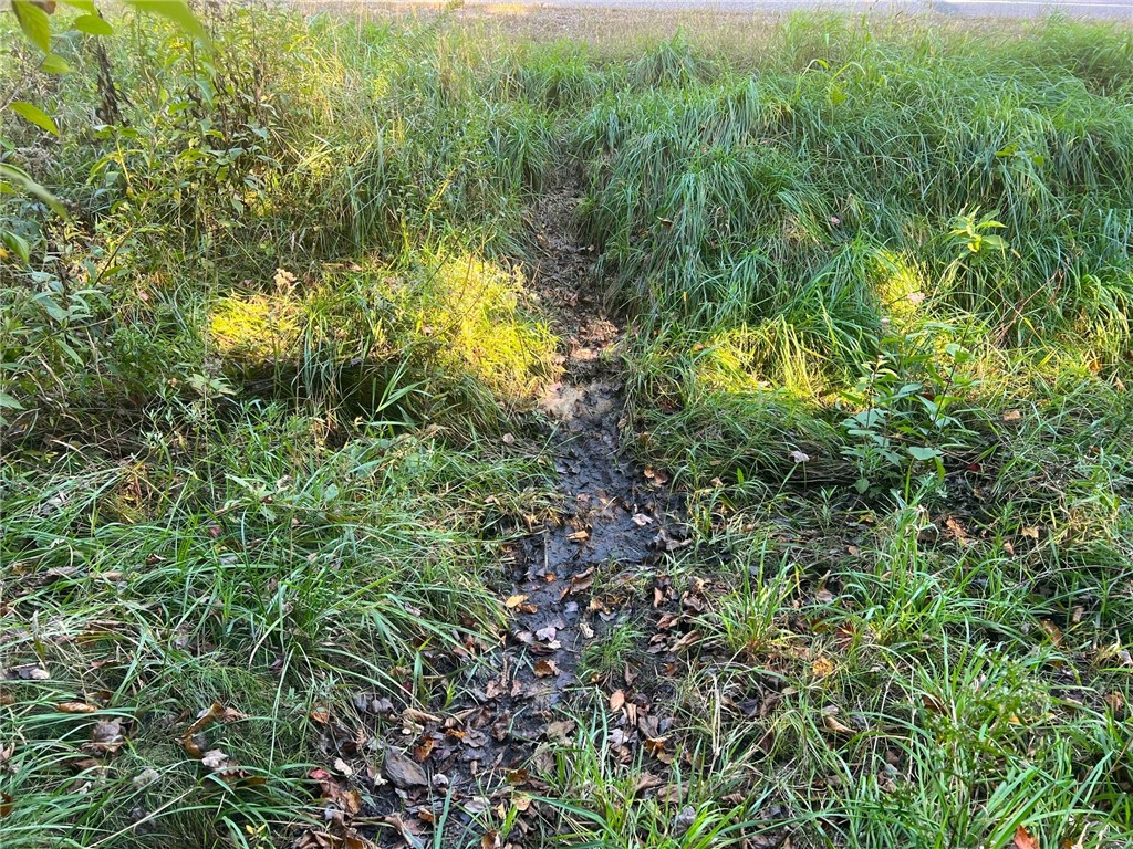 TBD N 12/27 Highway Black River Falls WI 54615 1596056 image51