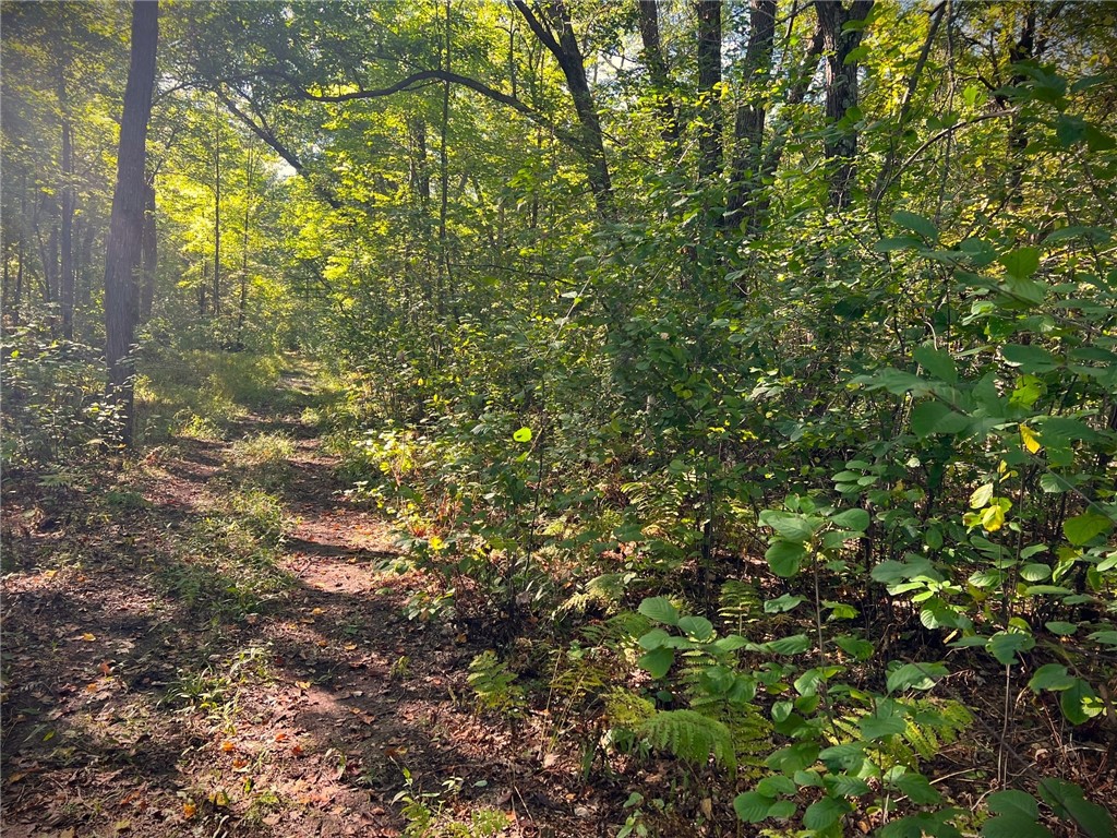 TBD N 12/27 Highway Black River Falls WI 54615 1596056 image54