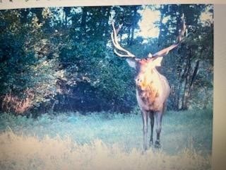 TBD N 12/27 Highway Black River Falls WI 54615 1596056 image7