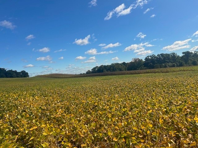 TBD N 12/27 Highway Black River Falls WI 54615 1596056 image8