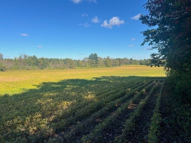 TBD N 12/27 Highway Black River Falls WI 54615 1596056 image9