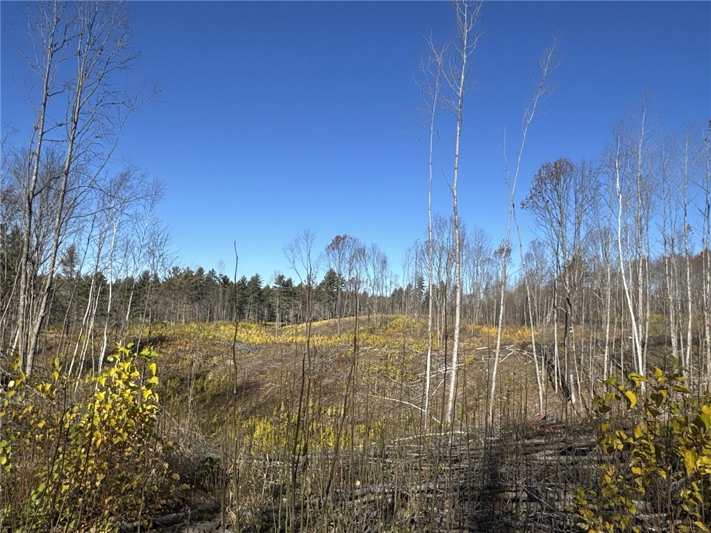 TBD N Larsen Road Hayward WI 54843 1597025 image36