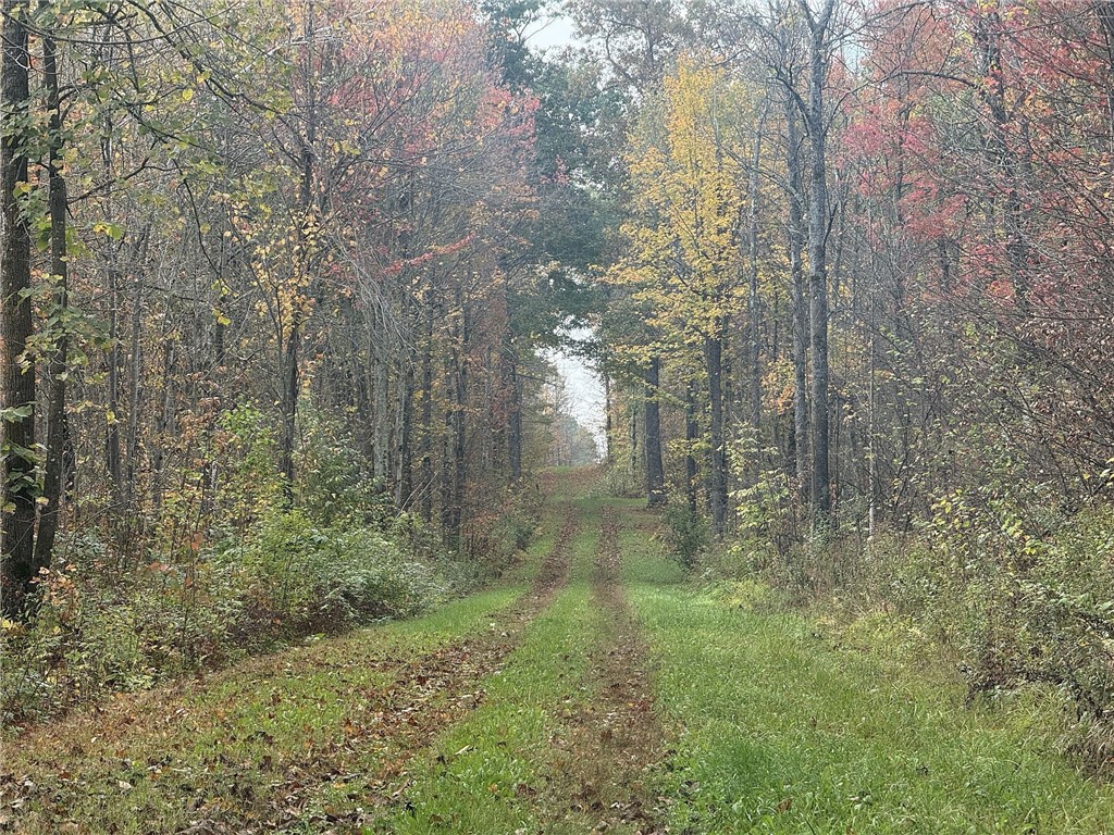 TBD N State Road 40 Exeland WI 54835 1596381 image13