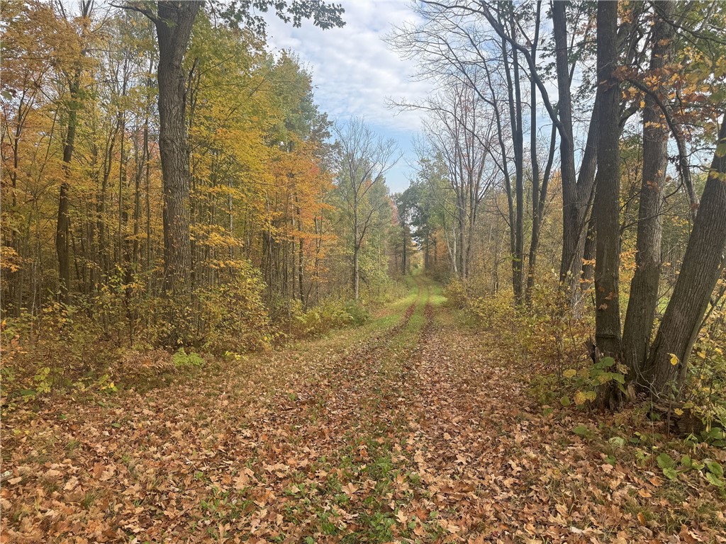 TBD N State Road 40 Exeland WI 54835 1596381 image16