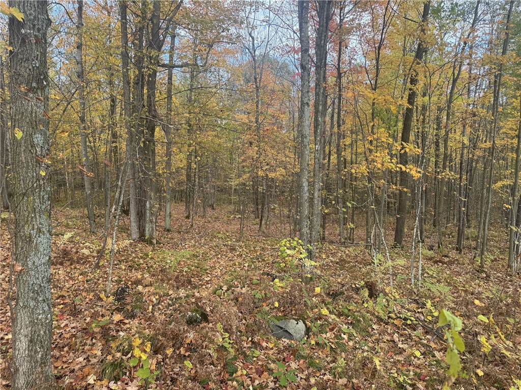 TBD N State Road 40 Exeland WI 54835 1596381 image17