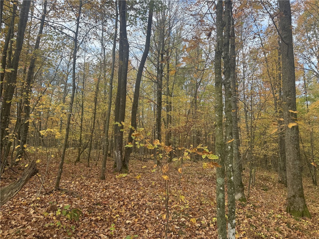 TBD N State Road 40 Exeland WI 54835 1596381 image18