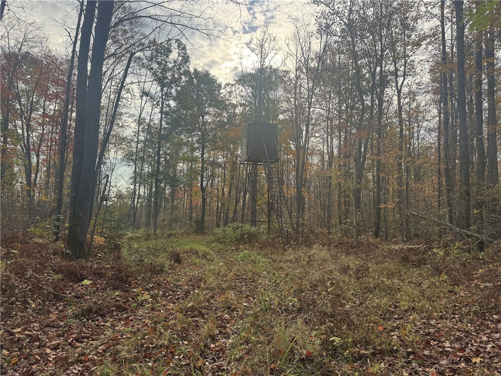 TBD N State Road 40 Exeland WI 54835 1596381 image20