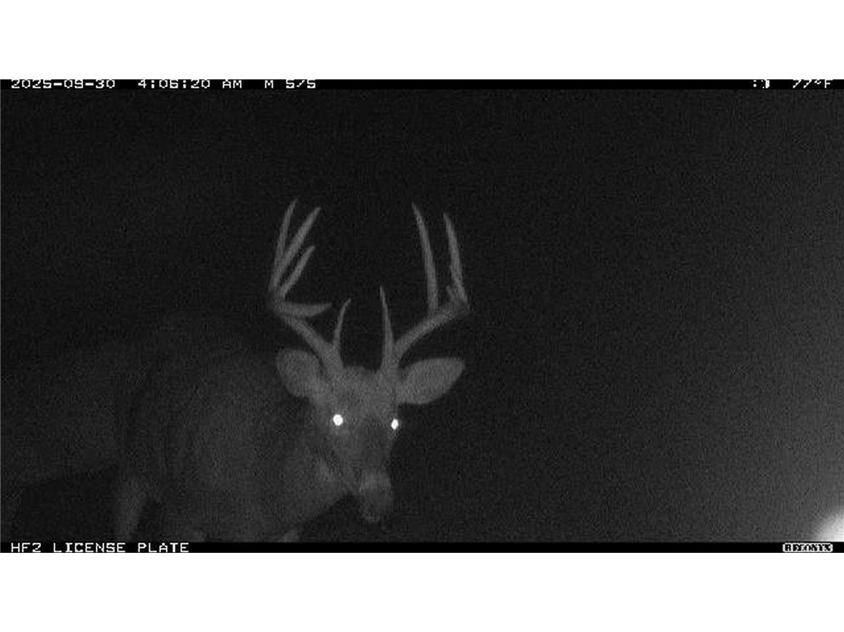 TBD N State Road 40 Exeland WI 54835 1596381 image39