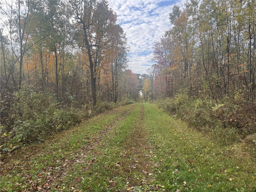 TBD N State Road 40 Exeland WI 54835 1596381 image4