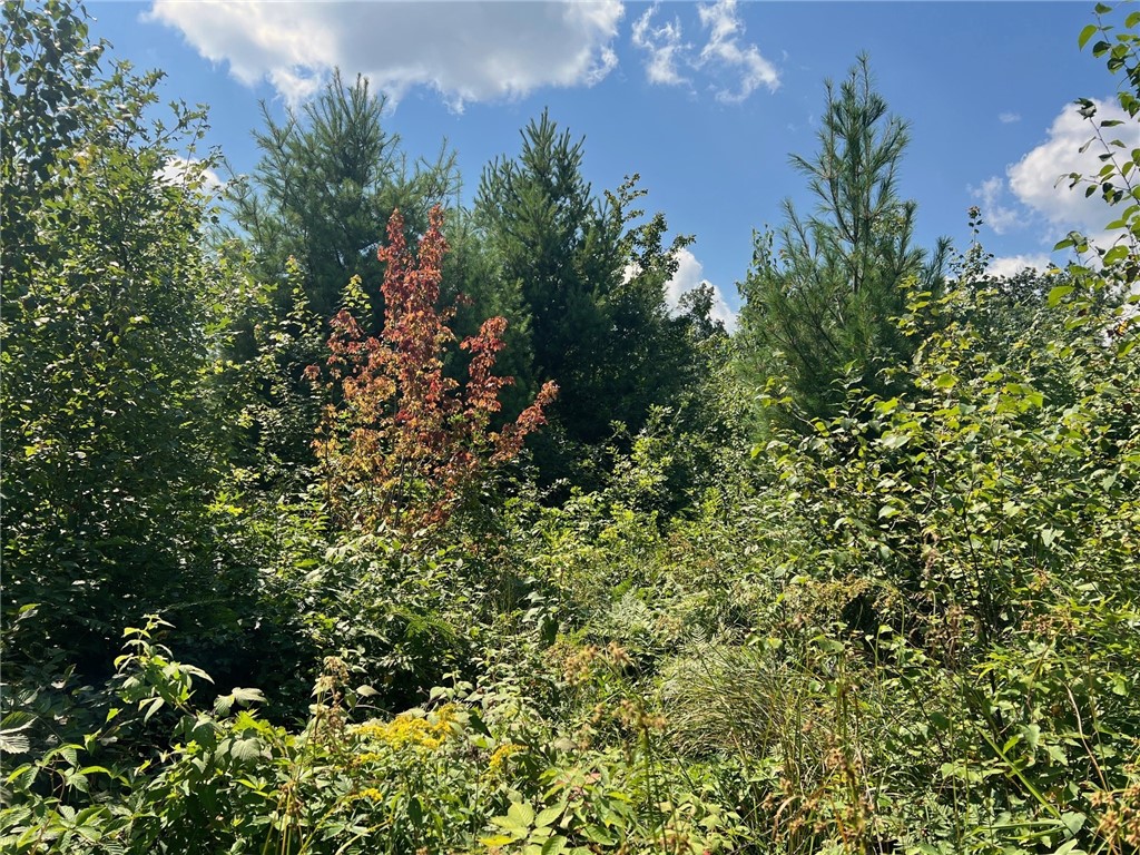 TBD North Center Road Fairchild WI 54741 1594531 image27