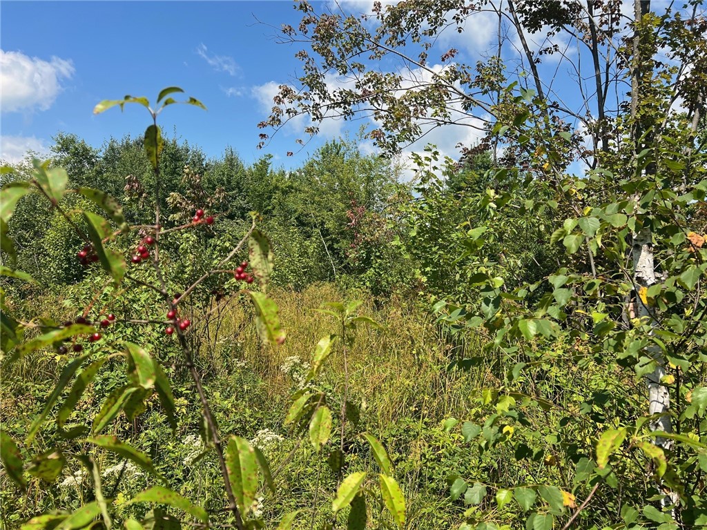 TBD North Center Road Fairchild WI 54741 1594531 image29