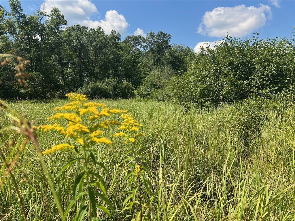 TBD North Center Road Fairchild WI 54741 1594531 image31