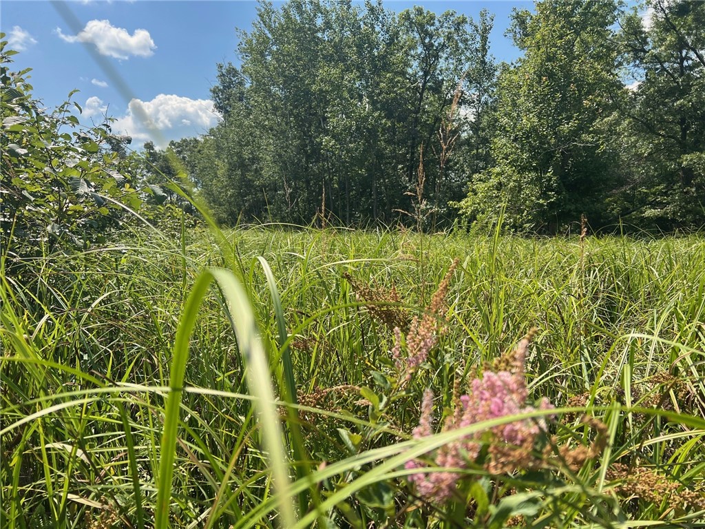 TBD North Center Road Fairchild WI 54741 1594531 image33