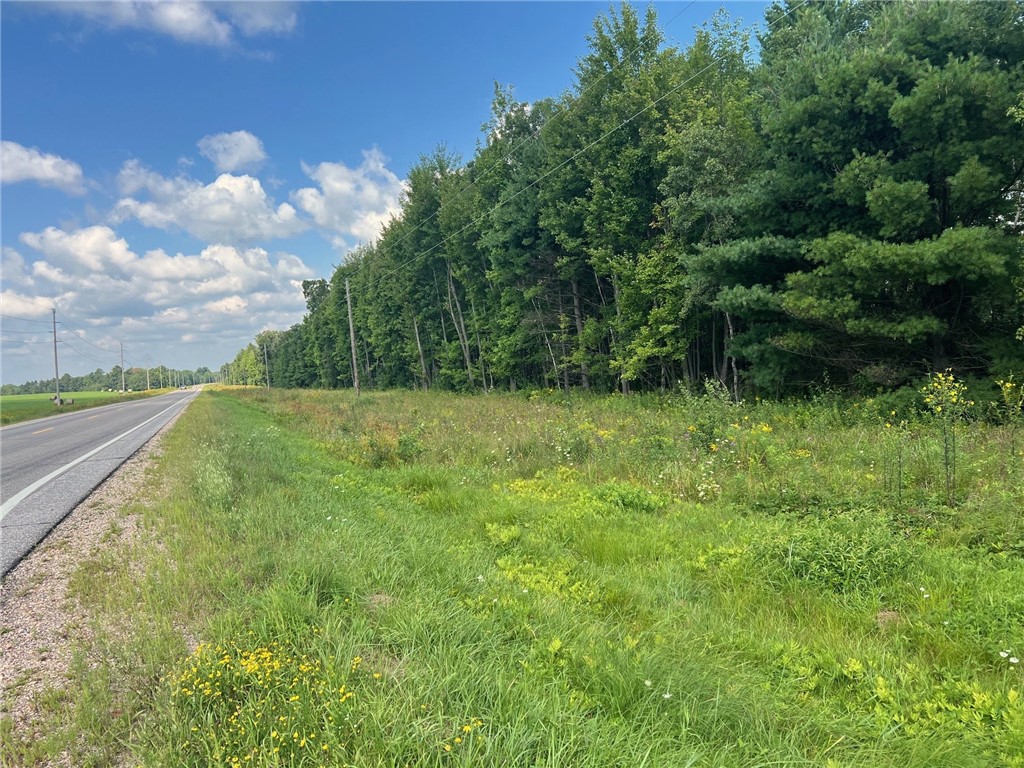 TBD North Center Road Fairchild WI 54741 1594531 image9