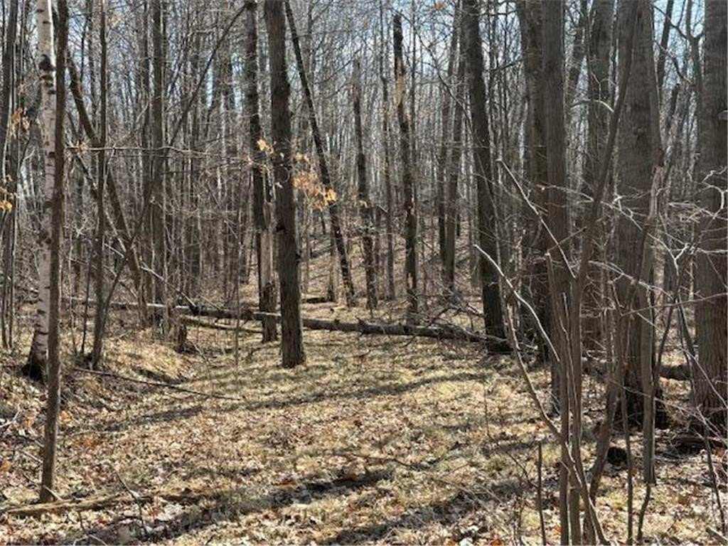 TBD Old Highway 63 Barronett WI 54871 1602060 image12