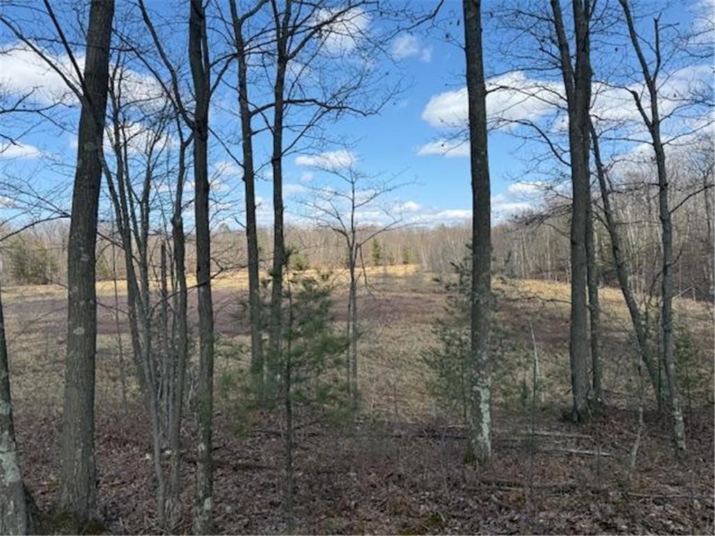 TBD Old Highway 63 Barronett WI 54871 1602060 image21