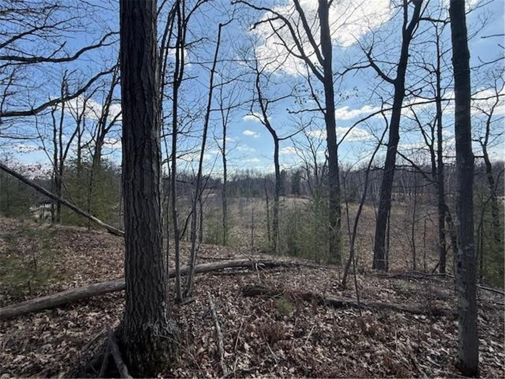 TBD Old Highway 63 Barronett WI 54871 1602060 image24