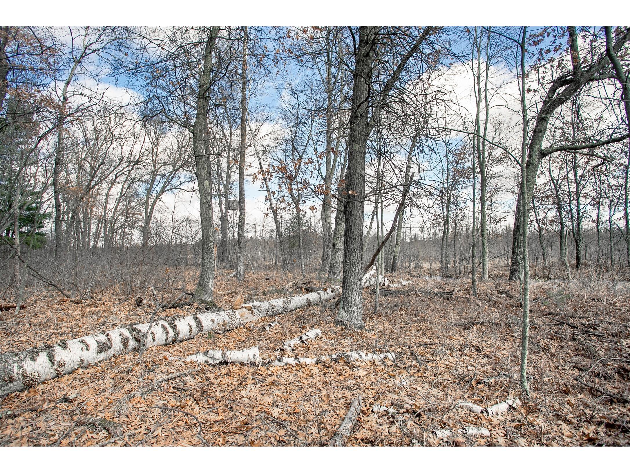 TBD Owl Lake Siren WI 54872 - Owl 1598951 image1