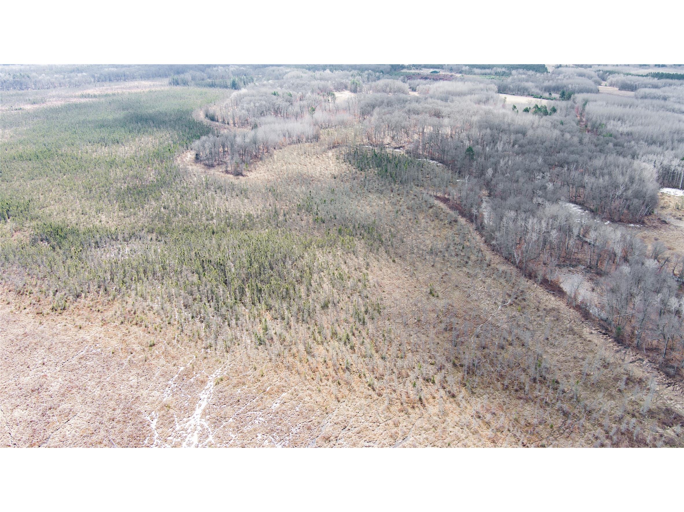 TBD Owl Lake Siren WI 54872 - Owl 1598951 image13