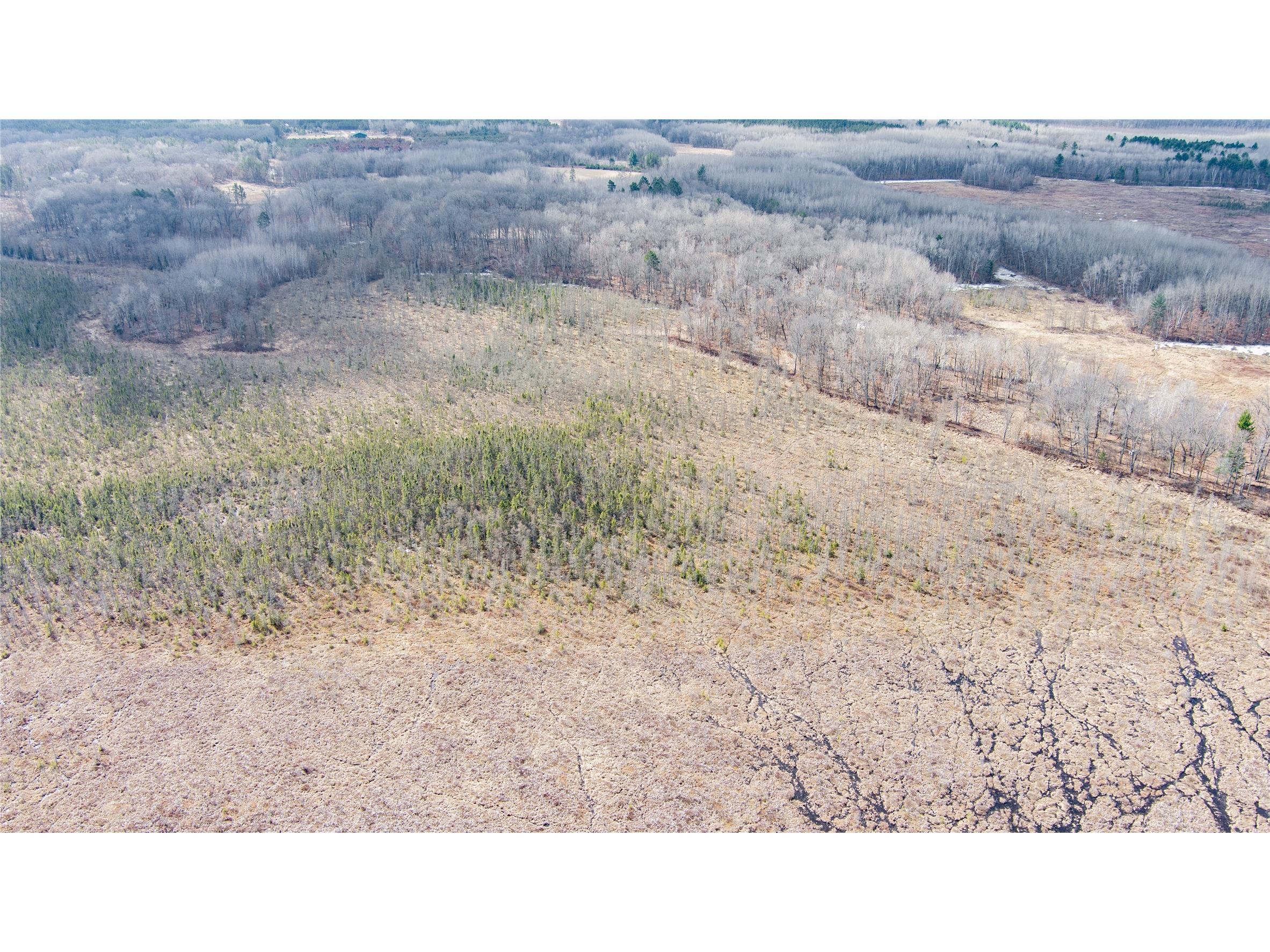 TBD Owl Lake Siren WI 54872 - Owl 1598951 image14