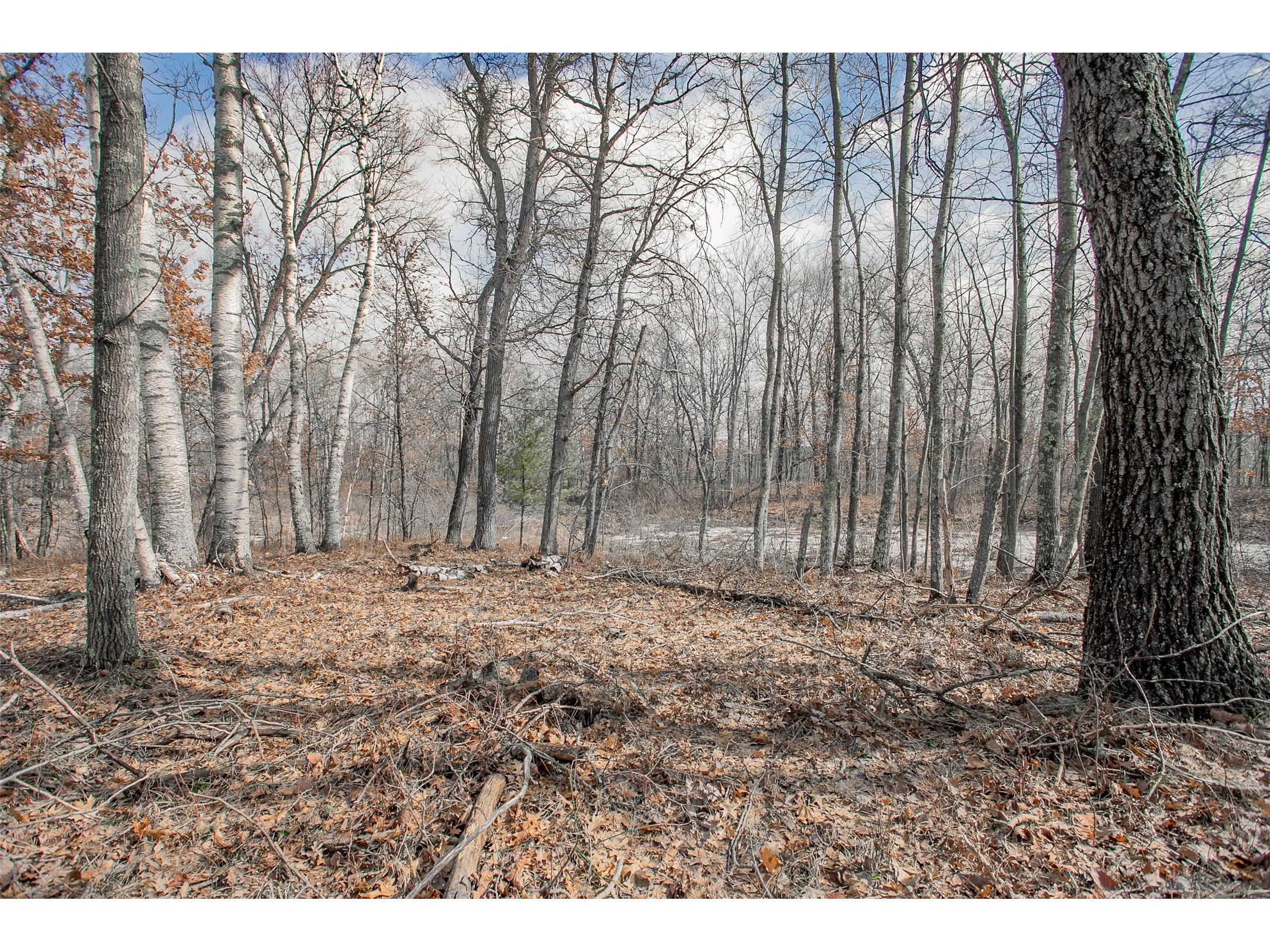 TBD Owl Lake Siren WI 54872 - Owl 1598951 image4