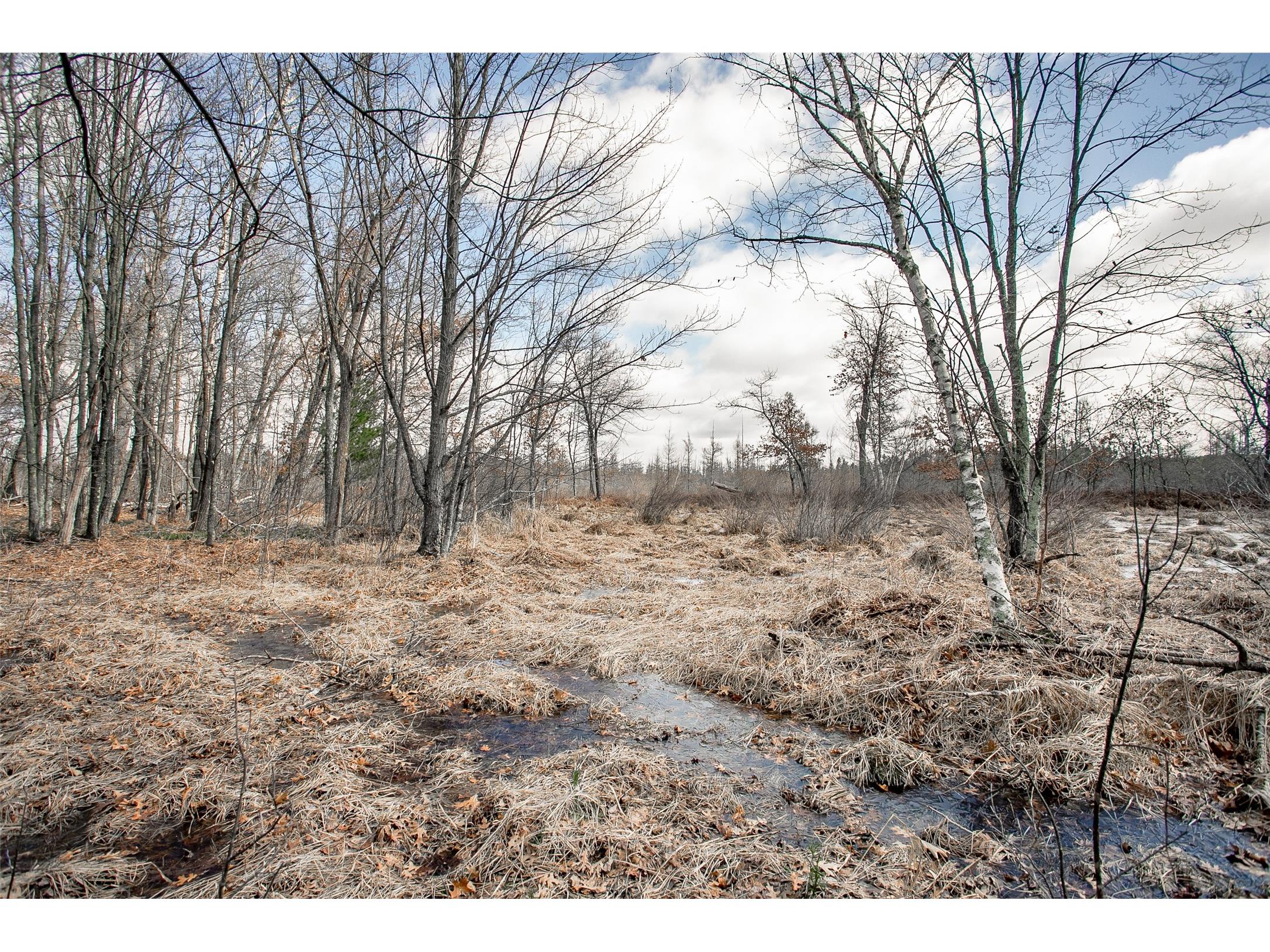 TBD Owl Lake Siren WI 54872 - Owl 1598951 image5