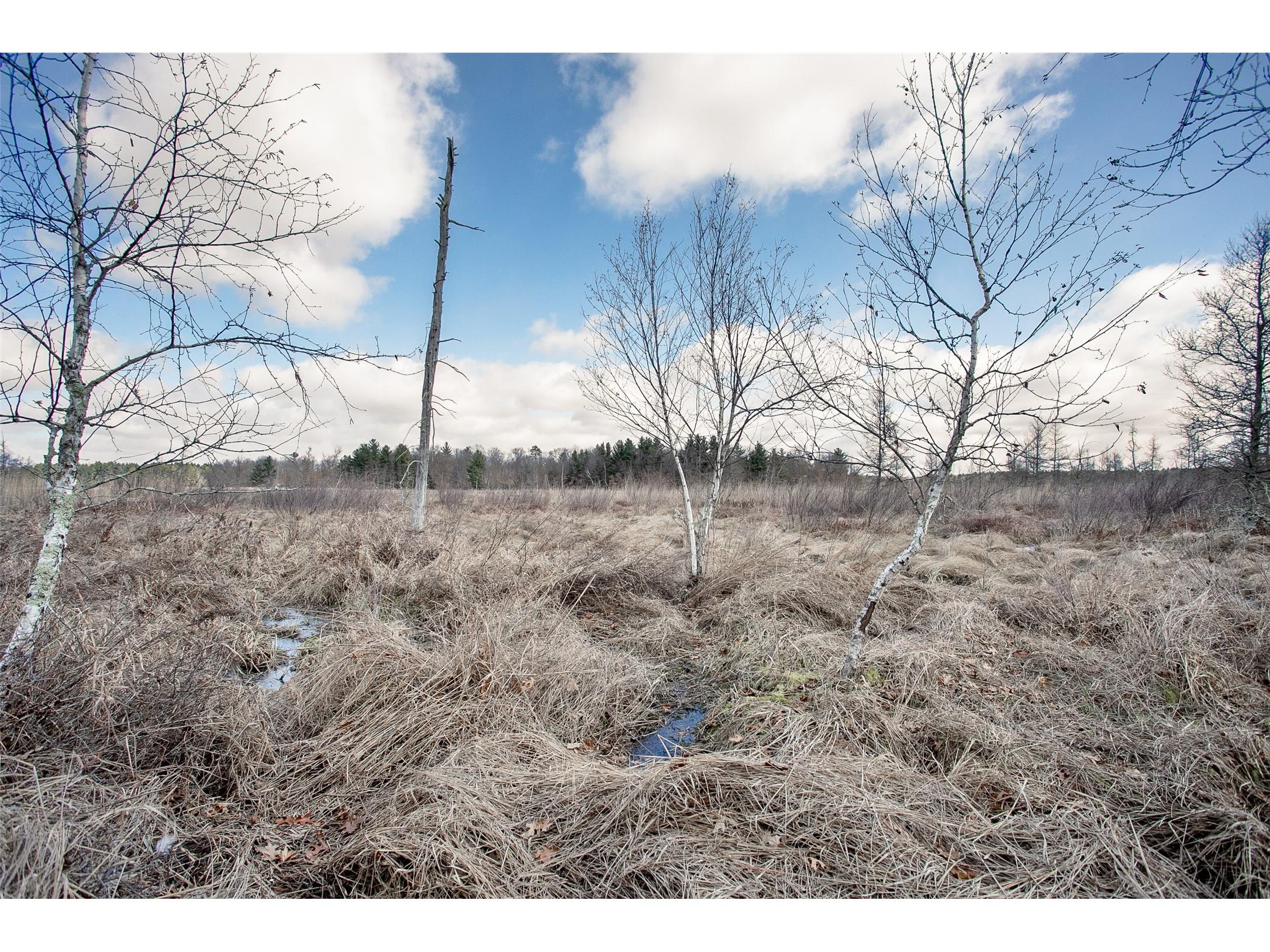 TBD Owl Lake Siren WI 54872 - Owl 1598951 image6