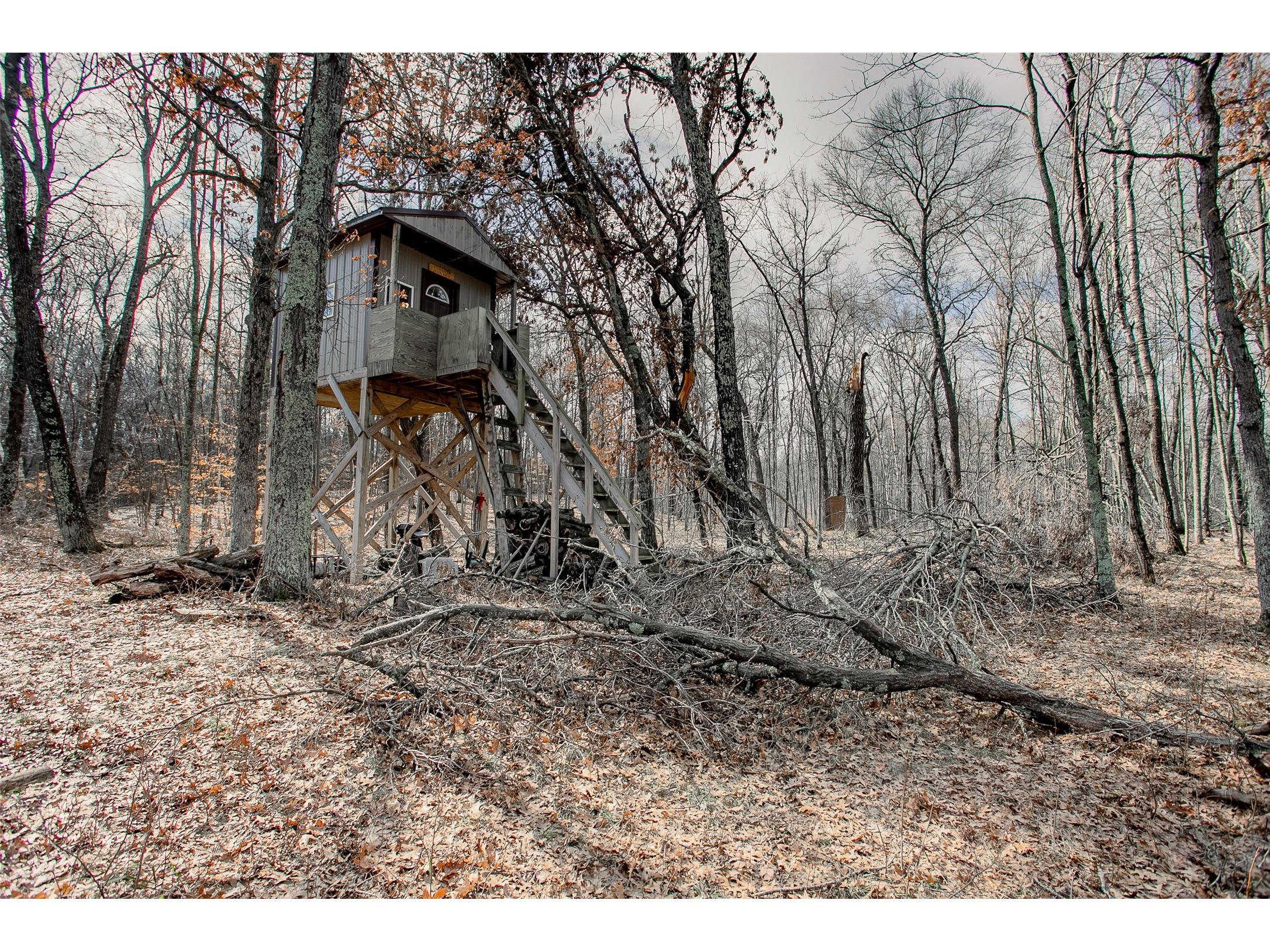 TBD Owl Lake Siren WI 54872 - Owl 1598951 image8