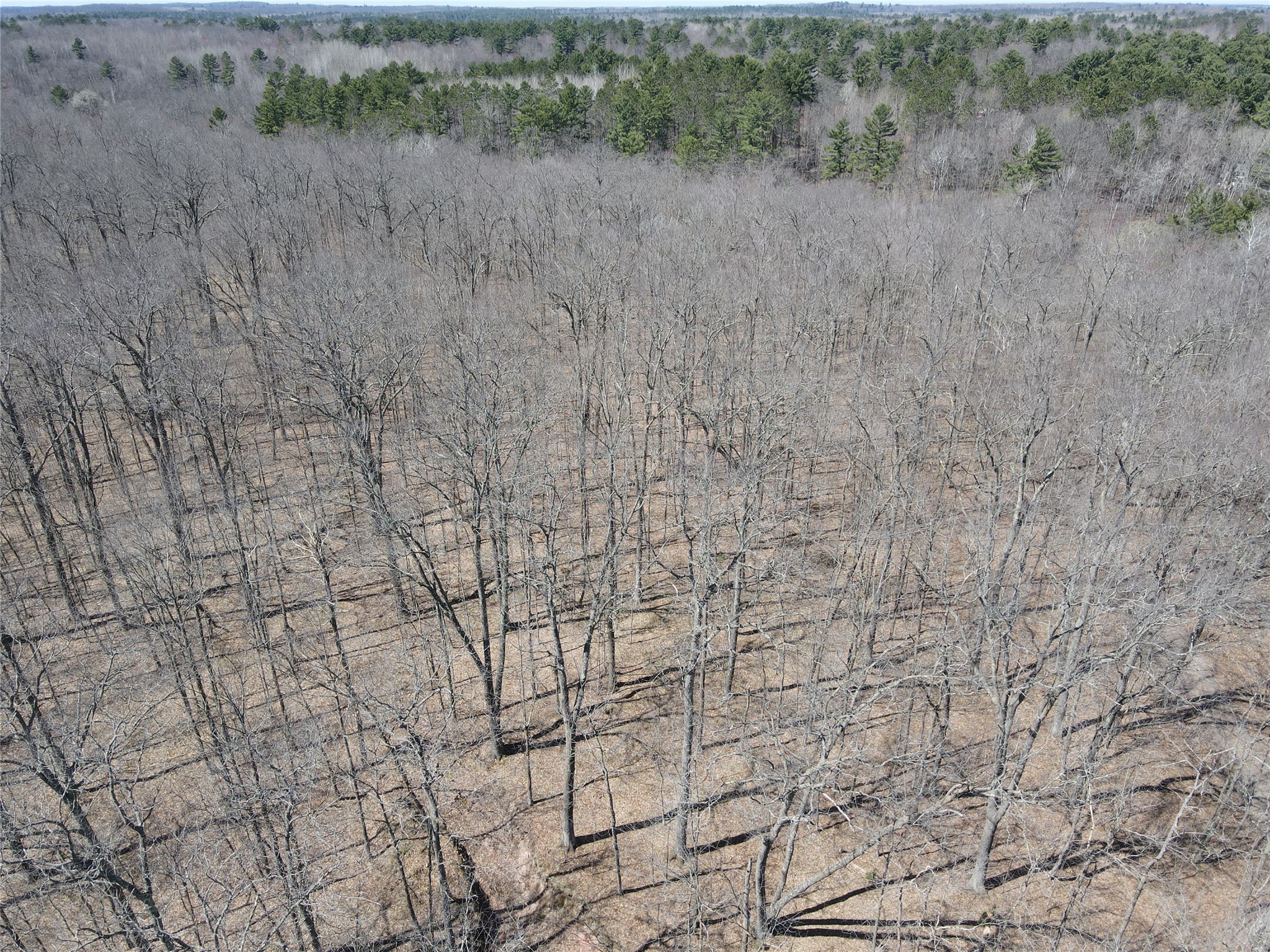 TBD Red Oak Lane Stone Lake WI 54876 - Slim Creek 1600228 image12