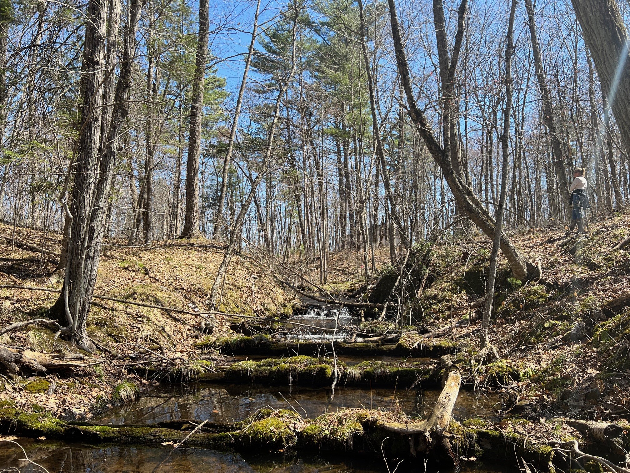 TBD Red Oak Lane Stone Lake WI 54876 - Slim Creek 1600228 image13